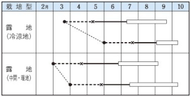 �ȥޥȤμ�����Ƽ�