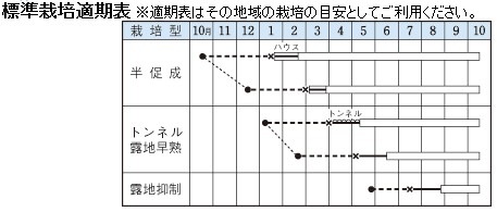 �ʥ��μ�������