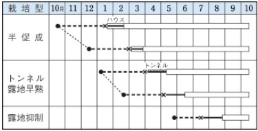 �ʥ��μ�/��ξ���