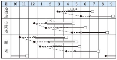 ���ܥ���μ���Ӥ�