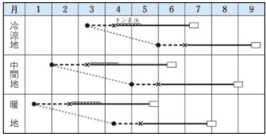 ���ܥ���μ��屻(��������)