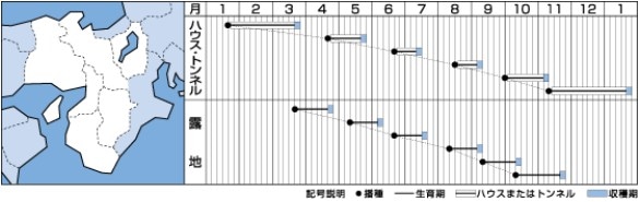 �꡼�ե쥿���μ�����ǥ�٥ӡ�