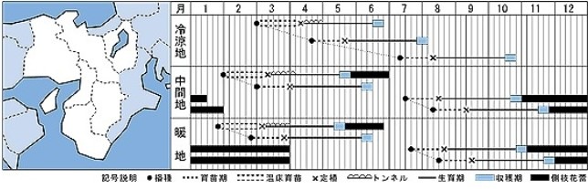 �֥��å��꡼�μ�ϥ��ģӣ�