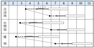 ���奦��μ�Ƥ�����