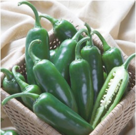 �ԡ��ޥ�μ�ԡ���Ϻ(���ɤ�ԡ��ޥ�)