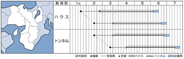 �����μ�ѥ��