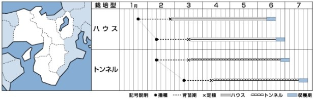 �����μ��Υ�