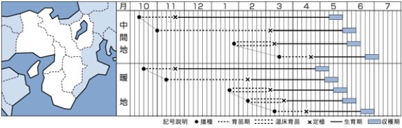����٥ĤμYR�ն� 1.4ml