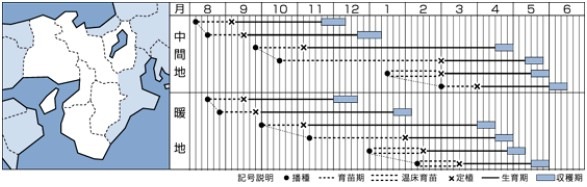 ����٥Ĥμ����&reg;