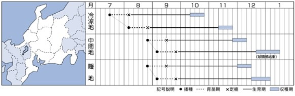 �ϥ������μ��������80