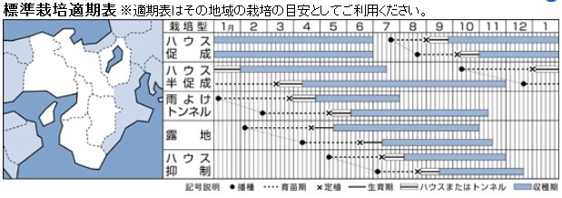 �ȥ����饷�μ�ŤȤ�����