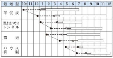 �ȥ����饷�μ�/������Ĺ