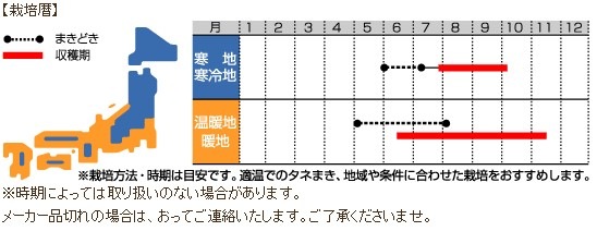 �����ڡ�����ĥ����μ�