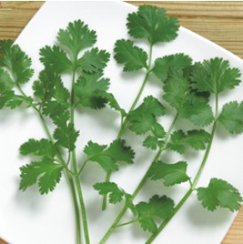 ���ꥢ������μ�