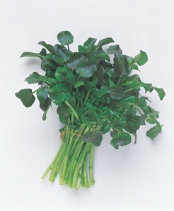 �������������쥹�ʥ��쥽��ˤμ�