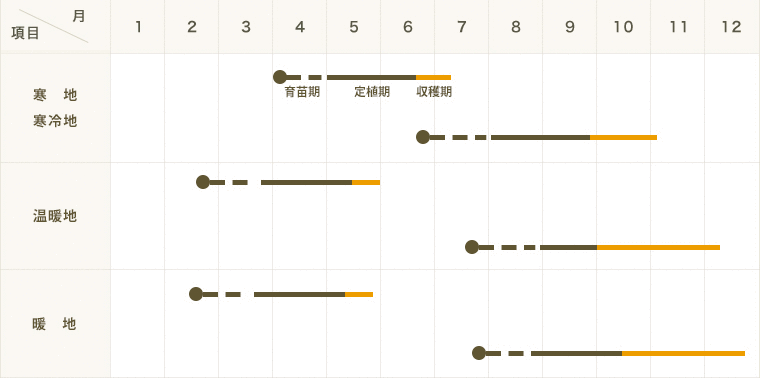 �ڤƤ��ޤ��ġ� ����ե��� ��������� 9cm�ݥå� ����� ���� �� ���� �ڿ͵��� �պ��� �ڿ͵���