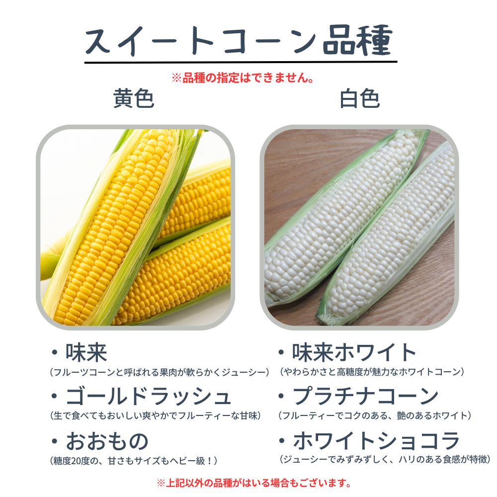 �ڤƤ��ޤ��ġ�  �������ȥ����� 128���120���ݾڡˢ��������٤ޤ������ʼ����ϤǤ��ޤ���