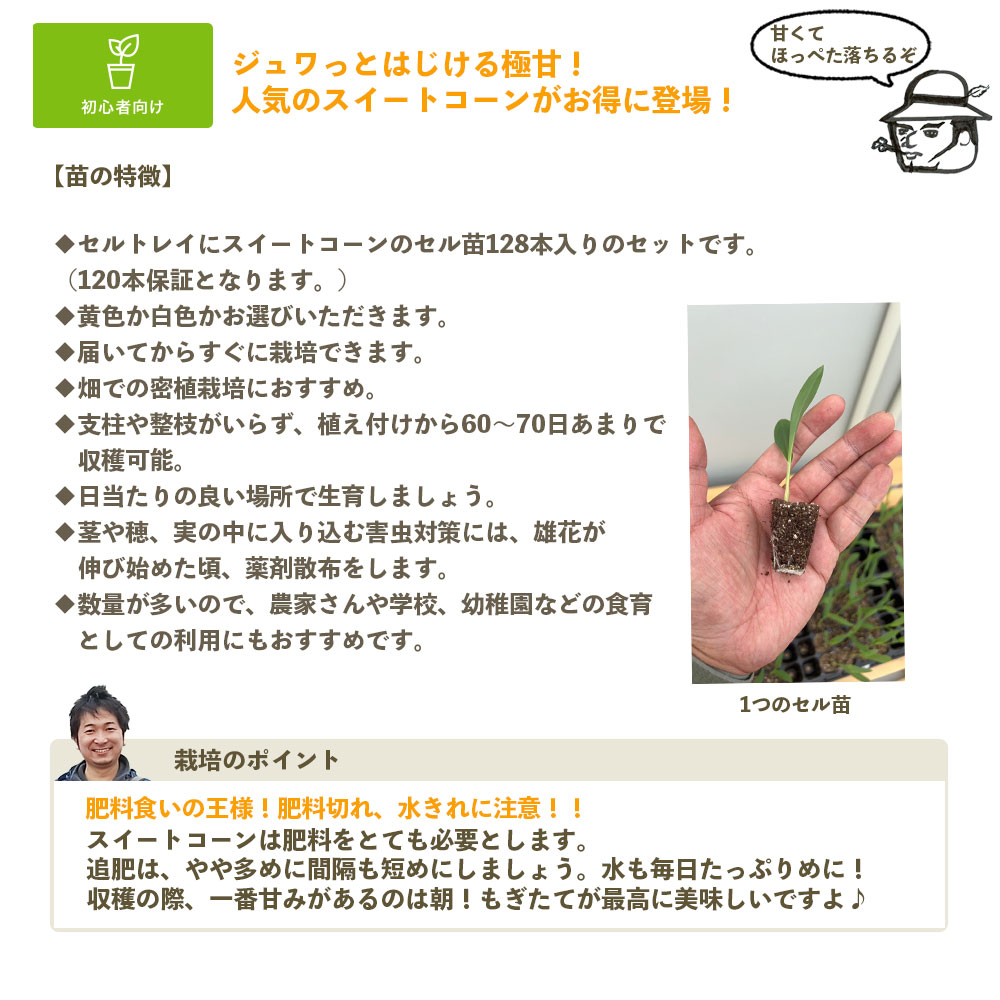 �ڤƤ��ޤ��ġ�  �������ȥ����� 128���120���ݾڡˢ��������٤ޤ������ʼ����ϤǤ��ޤ���