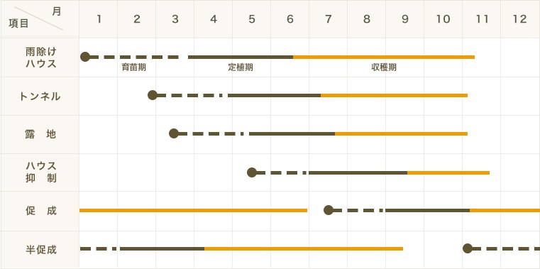 �ڤƤ��ޤ��ġۥ��顼�ԡ��ޥ��ġ��פ��ԡ����ޥ󥴡�����󥸡��Ǻ������ġ�9cm�ݥå� �ڿ͵���