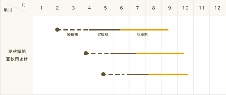 ڤƤޤġ̥ȥޥġܥ󥸥硼Ρ9ݥå Ǻ