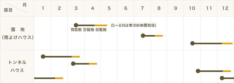 �ڤƤ��ޤ��ġۥ��ޥĥʡ��Ϥä����������ġ�9cm�ݥå� �ڿ͵���