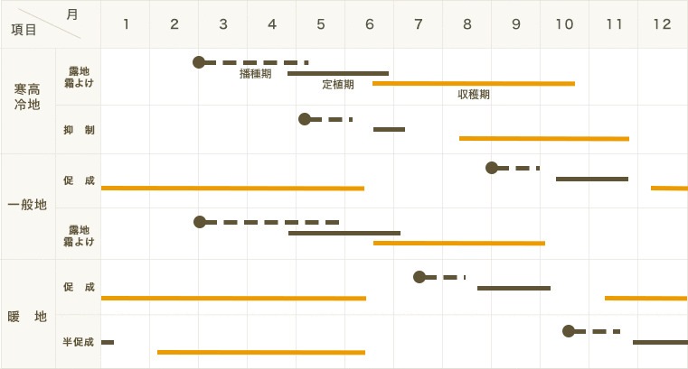 ڤƤޤġۥߥ˥ȥޥġ֥åǥ9ݥå Ǻ