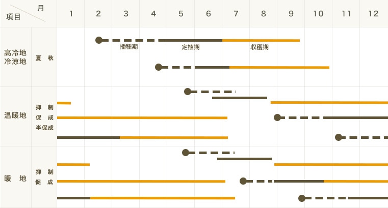 �ڤƤ��ޤ��ġ���̥ȥޥ��� ����ǥ�-����󥸡�9����ݥå� �Ǻ�������