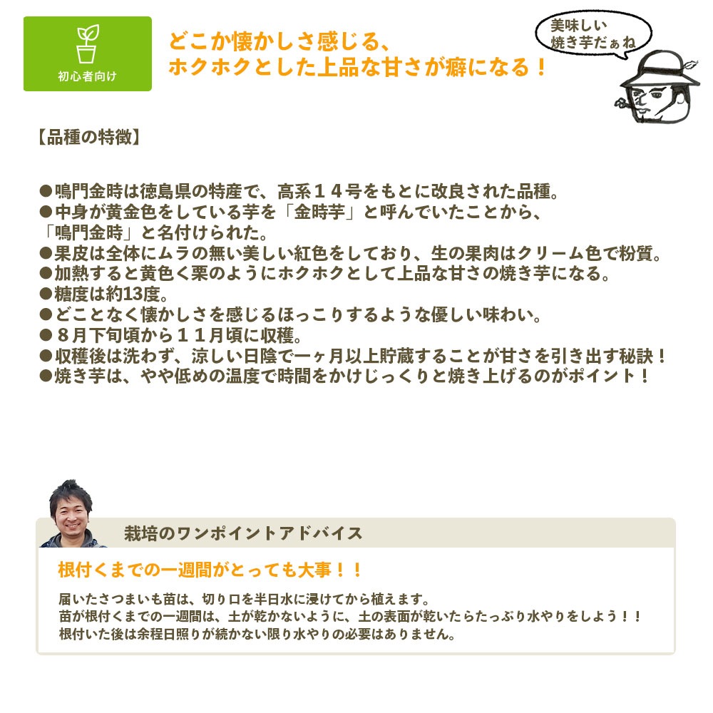 �ڤƤ��ޤ��ġ� ���Ĥޤ����ġʥ���ť�� ���ĥޥ��� ������ 1«10������