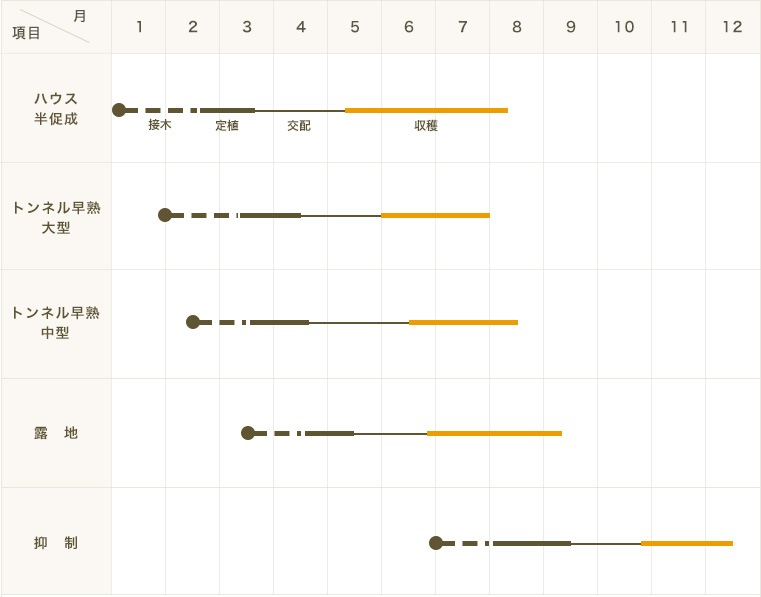 ڤƤޤġۥġҤȤꤸBonBonǺġ9cmݥåȡ