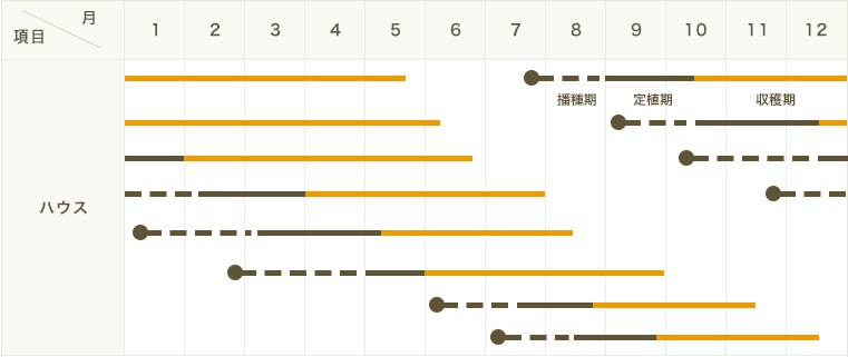 ڤƤޤġۥߥ˥ȥޥġTYץۥ磻ȡ9ݥå Ǻ