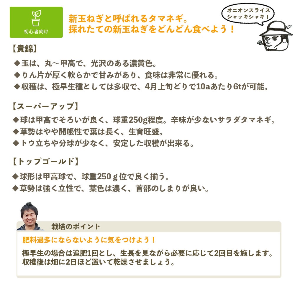 ޤͤ ȴ 100« ӡѡåסȥåץ320ΤŤ줫 ʼԲ 10ܡȯ ޥͥ