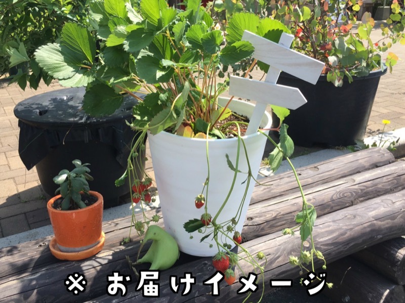 �ڤƤ��ޤ��ġ�  �����Ҥ� �Ƴ� 2ǯ�� 10��ȭ �ڿ͵���