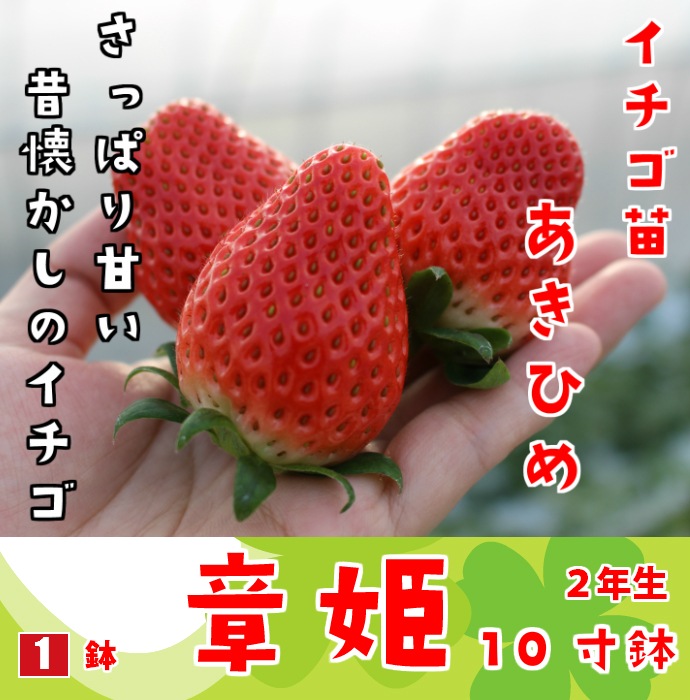 �ڤƤ��ޤ��ġ�  �����Ҥ� �Ƴ� 2ǯ�� 10��ȭ �ڿ͵���