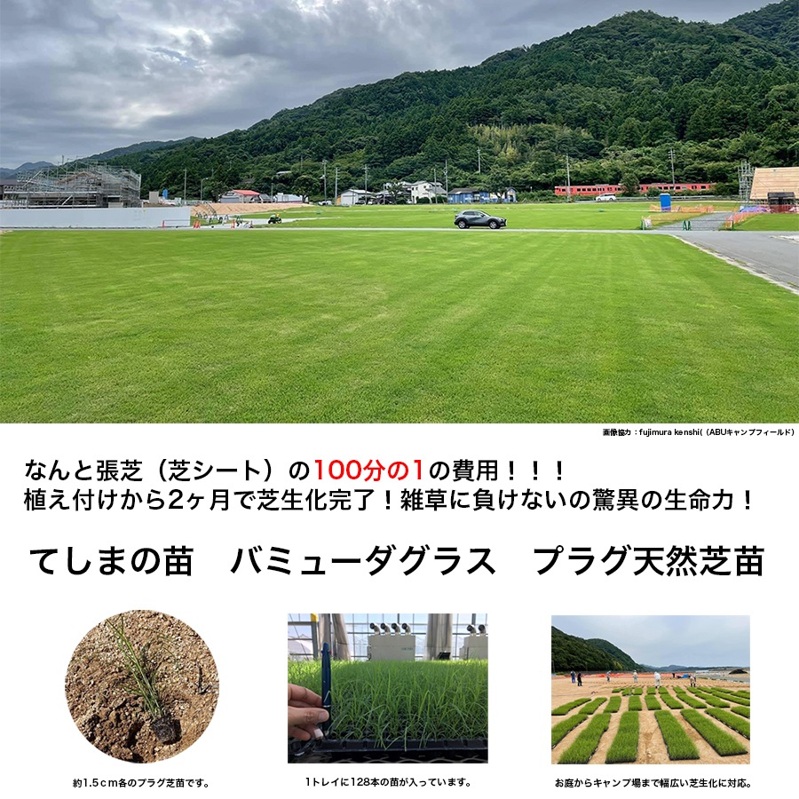 �ڤƤ��ޤ��ġ� �Хߥ塼�����饹 �ץ饰ŷ������ 128��ץ饰��������ʸ��1�������٤�Ǽ��