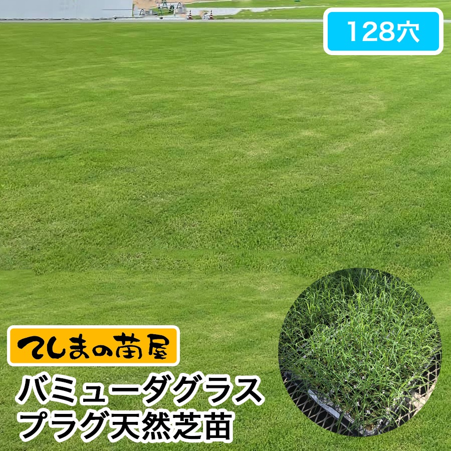 �ڤƤ��ޤ��ġ� �Хߥ塼�����饹 �ץ饰ŷ������ 128��ץ饰��������ʸ��1�������٤�Ǽ��