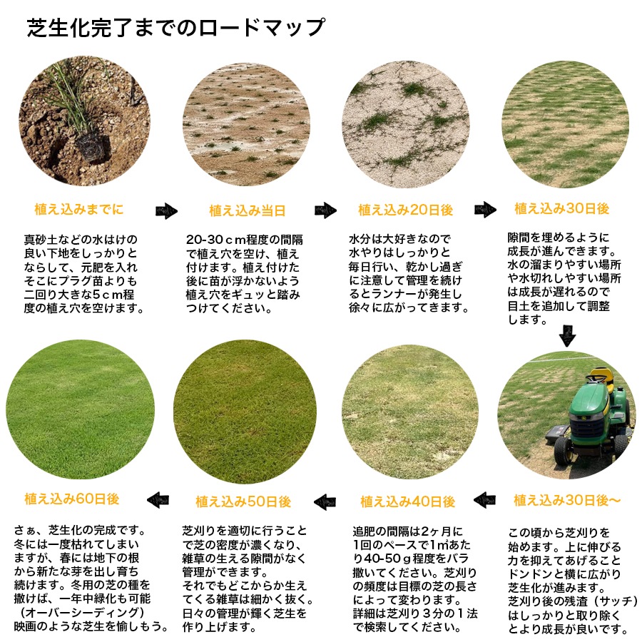 �ڤƤ��ޤ��ġ� �Хߥ塼�����饹 �ץ饰ŷ������ 128��ץ饰��������ʸ��1�������٤�Ǽ��