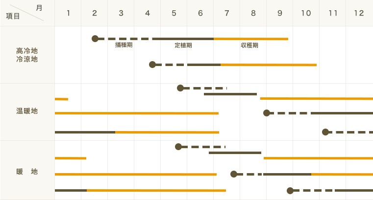 ڤƤޤġۥߥ˥ȥޥġʡ9ݥå Ǻ