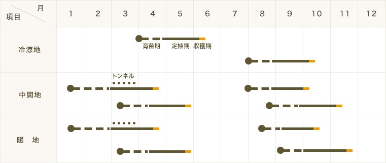 ڤƤޤġ ˡ쥿  ե쥢롼 4ѥå