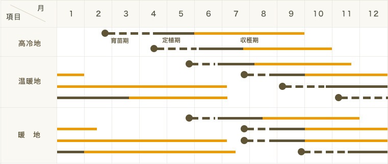 �ڤƤ��ޤ��ġۥߥ˥ȥޥ��ġ��٥��˥���9����ݥå� �Ǻ�������