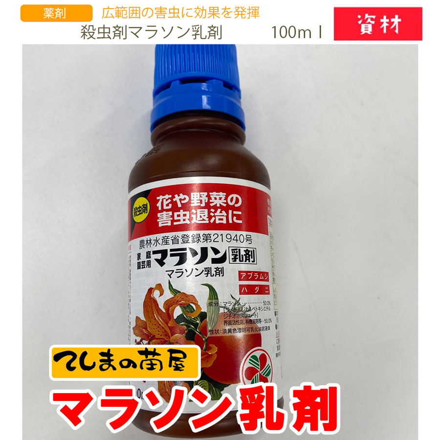 ڤƤޤޡ ޥޥ饽 100ml
