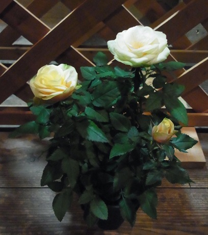 �����ա��ե������С�