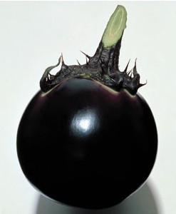 �ʥ��μ�������