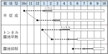 �ʥ��μ�/�ߤ���