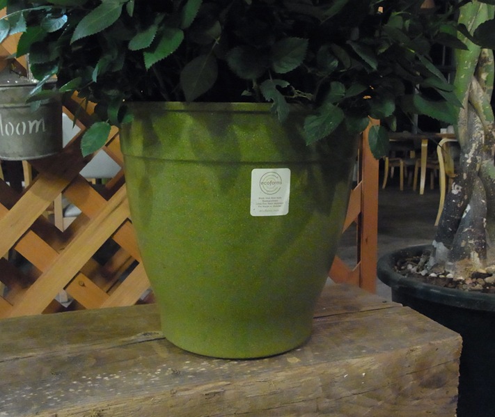 �ե������С����������ե�