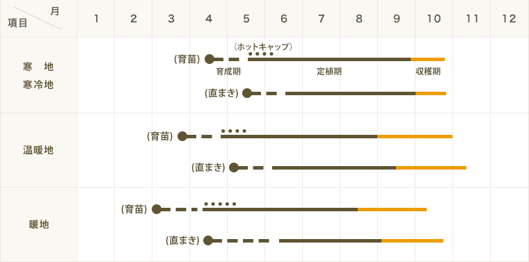 �ڤƤ��ޤ��ġ� �������� ���򥴡��� ������ 9cm�ݥå� �ڿ͵���