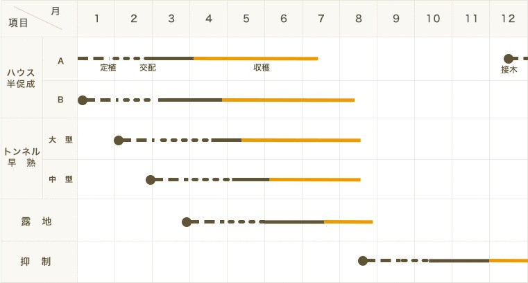 �ڤƤ��ޤ��ġ� ���̥��������ҤȤꤸ��ʥ� ���Ǻ������ġ� 9cm�ݥåȡ������