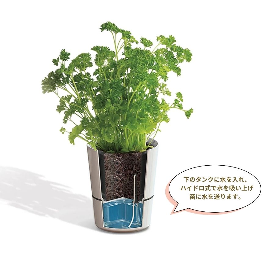 ڤƤޤλ ۥϥɥ ϡ֡mepalHydro Herbs