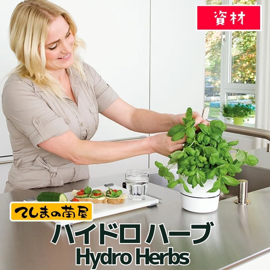 ڤƤޤλ ۥϥɥ ϡ֡mepalHydro Herbs