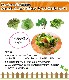 �ڤƤ��ޤ��ġ� �ۥ���󥽥��� ���������������  4������ѥå�  �պ��� �ڿ͵���