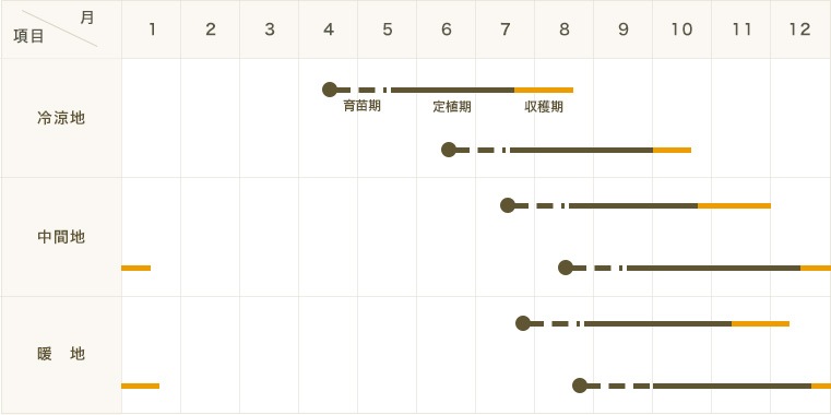 �ڤƤ��ޤ��ġۥ���ե��� ������󥰥꡼��4������ѥå�